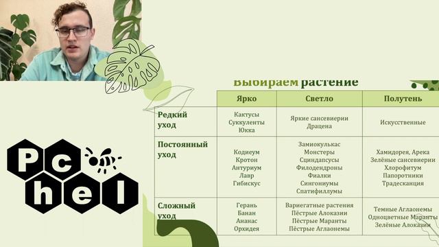 Как выбрать комнатное растение, которое не сдохнет через неделю смотреть онлайн