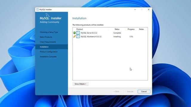 Download & Install MySQL 8 Database Server on Windows 11 смотреть онлайн