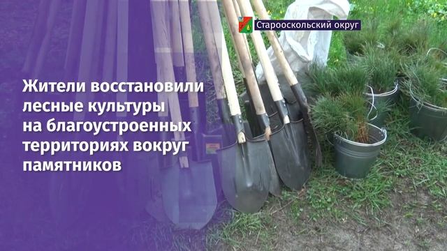Жители сёл Старооскольского округа приступили к посадке многолетников смотреть онлайн