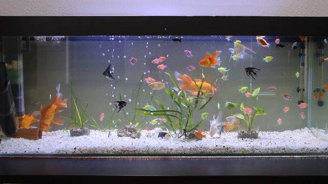 Лечебная музыка для сна глубокий релакс и успокоение души... смотреть онлайн