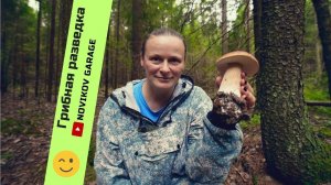 Грибная разведка 14 июля 2024. Всеволожский район.