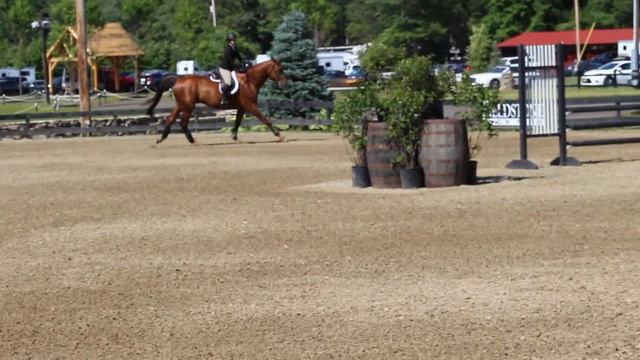 Molly Garrett Equitation O/F смотреть онлайн