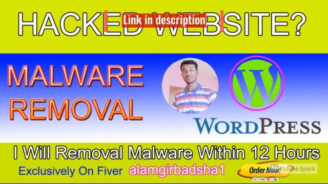 I will removed malware virus from a hacked wordpress website смотреть онлайн