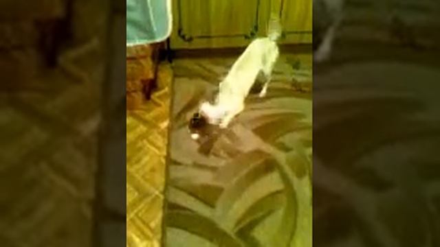 Дали ребёнку конфету смотреть онлайн