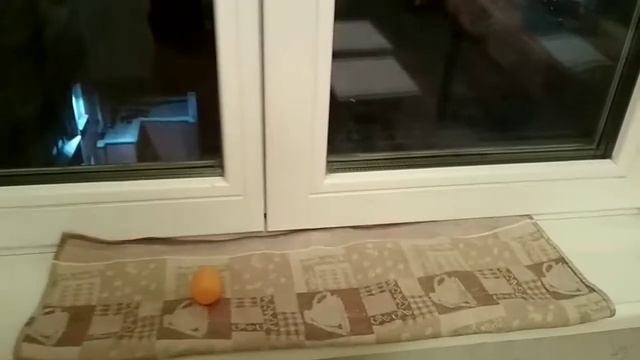 Зубная фея прилетала))) ...или, как мы поступаем с молочными зубками смотреть онлайн