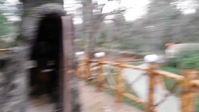 Церковь внутри дерева в ботаническом саду Кутаиси, Грузия, 08.01.2015 смотреть онлайн