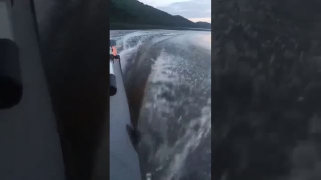 Пафосное видео на ПВХ лодке!) смотреть онлайн