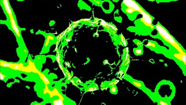 manifest - Virus смотреть онлайн