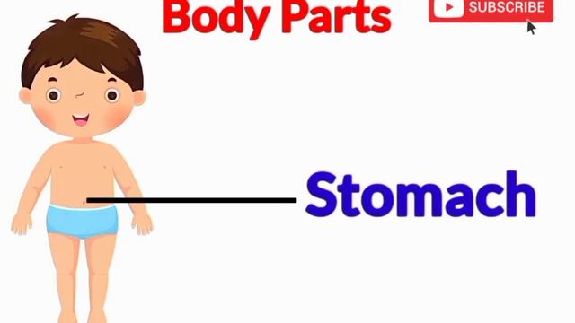 Body Parts Name | Body Parts For Kids | Parts Of Body | Body Parts And Their Uses | #bodyparts #evs