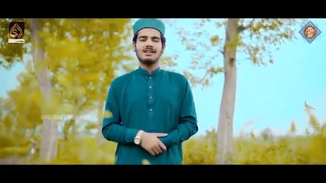 Imtiaz Ahmed al Hussaini official channel subscribe смотреть онлайн