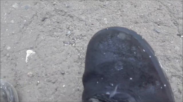 Удаление краски и пятен быстро и легко