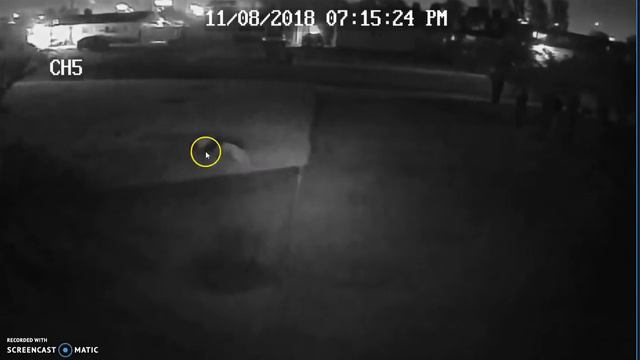 GGPD CHIEF TODD ELGIN -3RD TIME DEBBIE & ED MCDILL RELEASE DOG TO ATTACK ELDERLY CARBAJAL'S смотреть онлайн