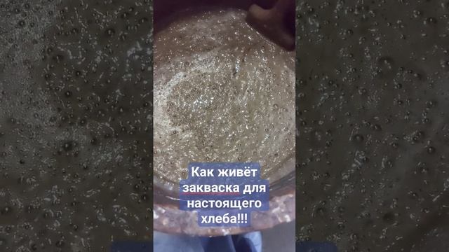 Закваска для домашнего хлеба! Настоящий хлеб! смотреть онлайн