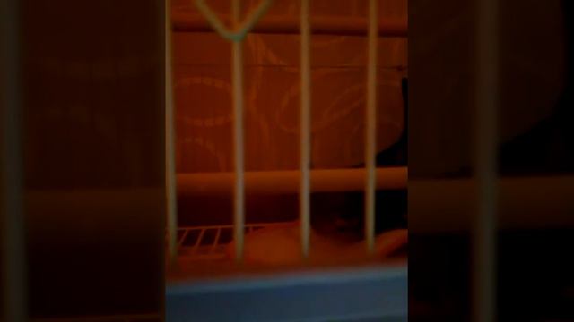 CAM01095 смотреть онлайн