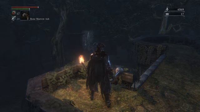 Bloodborne vs giant vigina mouthed centipede смотреть онлайн