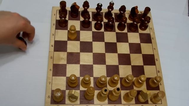 Шахматы для начинающих / Часть1 смотреть онлайн