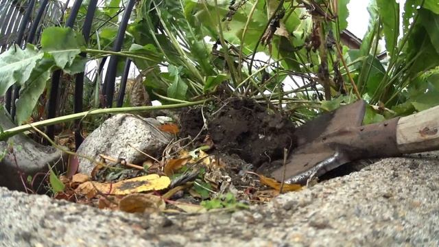 Ремонтные Мастерки