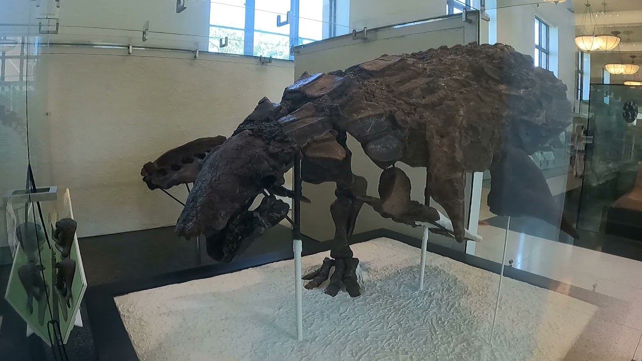 1 день в Нью-Йорке смотреть онлайн