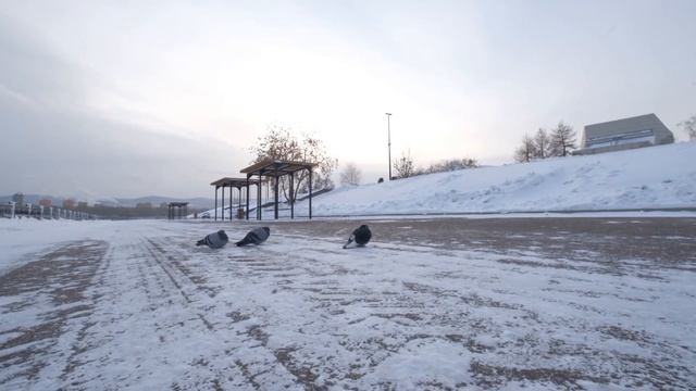 Роль образа Александра Невского в жизни красноярцев смотреть онлайн