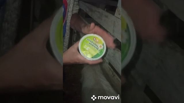 ДОМАШНЯ ФЕРМА КІЗ І ОВЕЦЬ. ЛЯЛЯ І ФЕЯ. ДІВОЧЕ МОЛОКО і ЗДІЙСНЕННЯ МРІЙ смотреть онлайн