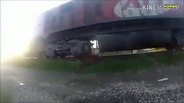 Животные против поездов. ЖЕСТКО смотреть онлайн