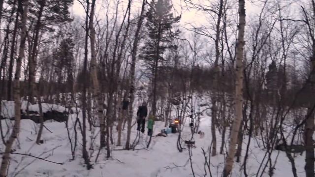 поход в лес,приготовили еду на щепочнице и примусе #bushcraft #forest #лес #обед #мурманскийтурист смотреть онлайн