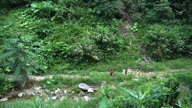 Hien and Khoa harvested oranges to sell at the market, dismantled and transported the kitchen frame смотреть онлайн