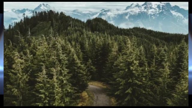 Проверка видео на наличие авторских прав номер 2