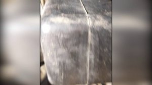 Замена втулок стабилизатора на Сузуки Гранд Витара 2007 года.