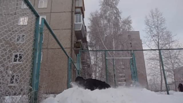 Просто нечего делать смотреть онлайн