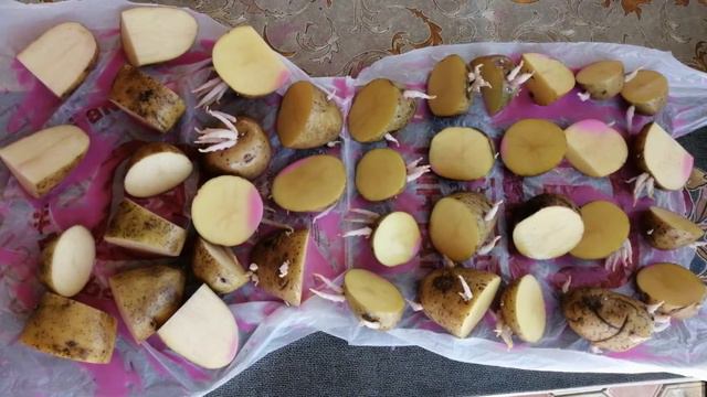 Сажаем картошку смотреть онлайн