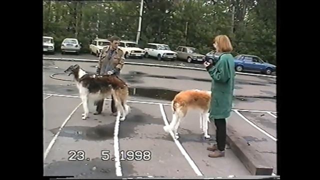 Выставка русских псовых борзых "Москва Майская" 1998 г смотреть онлайн