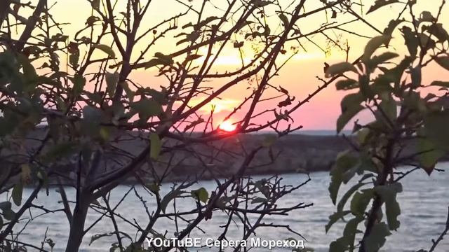 Басня стрекоза и муравей. Читают роботы смотреть онлайн