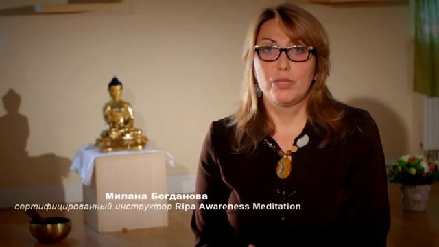 Медитация Осознанности Рипа смотреть онлайн