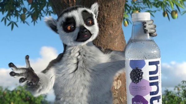 Meet the Lemurs