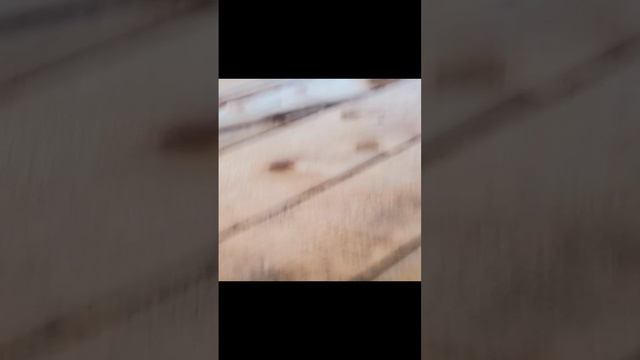 Обзор на моей дачи. смотреть онлайн