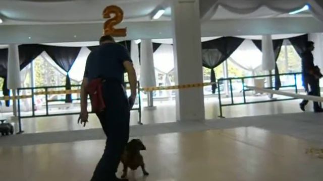 Шрэк. 16.10.2016. смотреть онлайн