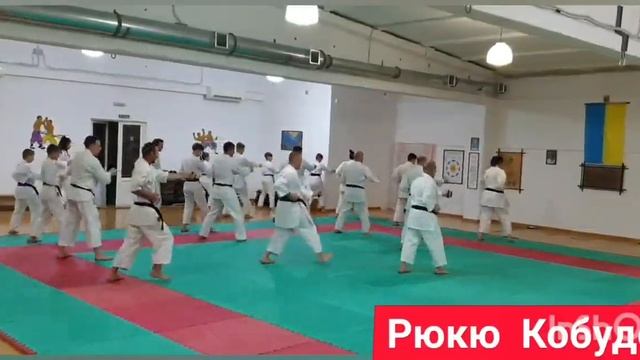 Обзорный видео отчет. Семинар по Рюкю Кобудо в Ровно 17-19.12.2021 смотреть онлайн