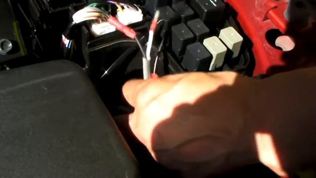 BMアクセラ　社外デイライト付けてみた！
