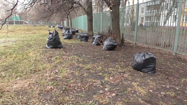 Субботник-2017. ГБОУ Гимназия № 1515. смотреть онлайн