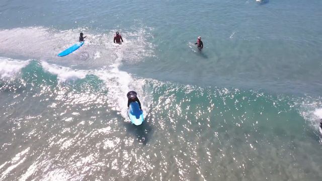 Hibiscus Surf School Wahine Waves смотреть онлайн