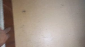 Сделали улья дадан 12 рамочные Своими руками супер