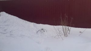 Снегозадержатель#, нужен ли он на крыше,и в каких случаях обязательно установить.