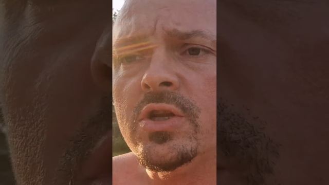 С красивым морковным листом. Сорт томата 