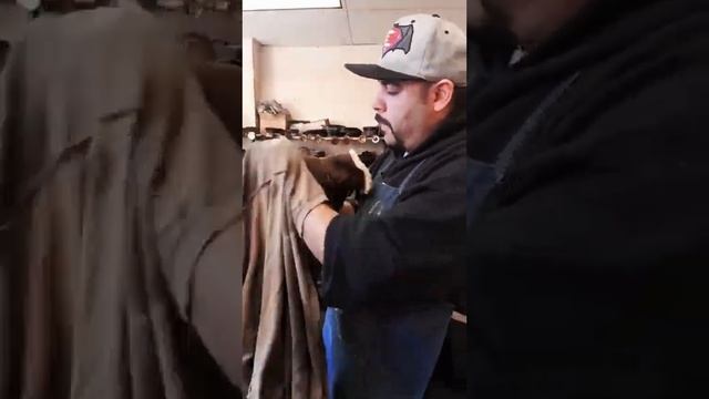 Cómo Se Limpian Las Botas Uggs
