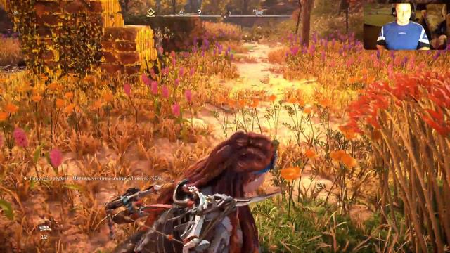 Horizon Forbidden West - Элой ждет s6 смотреть онлайн