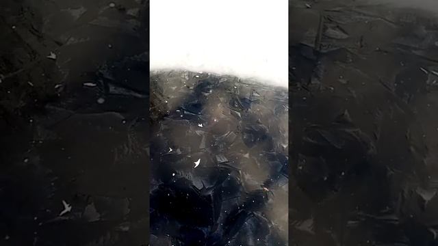 мой рабочий день на даче зимой, куры ополонки, собаки..есть чем заняться чтобы не скучать в стужу:) смотреть онлайн