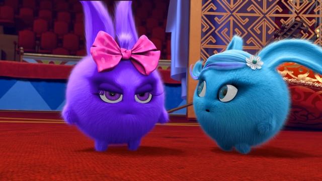 Cartoons For Children | Sunny Bunnies SUNNY BUNNIES THE BIG RACE | Funny Cartoons For Children