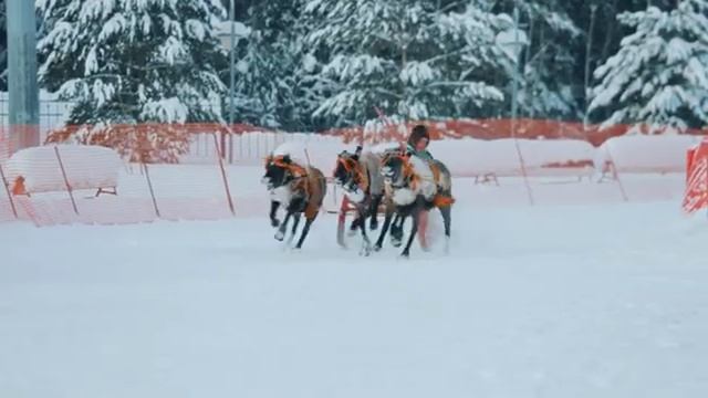 Хантыйская группа «Хайтнут Эрыг» презентовала новый клип под LinkinPark.