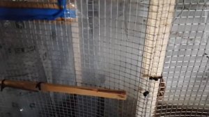 Новый вольер для певчих птиц!!! Щеглов, чижей, и тд!!!